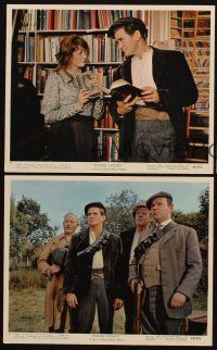 1w192 YOUNG CASSIDY 3 color EngUS 8x10 stills '65 Rod Taylor, Maggie Smith, Julie Christie!