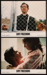 1w024 CRY FREEDOM 3 color English FOH LCs '87 Kevin Kline, directed by Richard Attenborough!