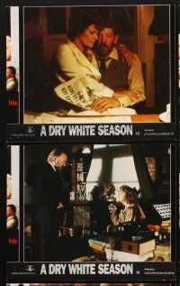1w011 DRY WHITE SEASON 7 color English FOH LCs '89 Donald Sutherland, Brando, & Susan Sarandon!
