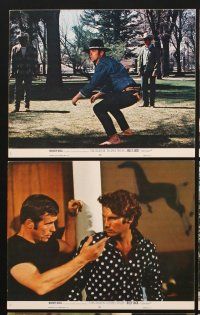 1w052 BILLY JACK 8 8x10 mini LCs '71 Tom Laughlin, Delores Taylor, most unusual boxoffice success!