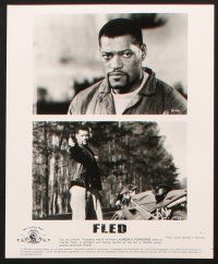 1x803 FLED presskit w/ 10 stills '96 Laurence Fishburne, Stephen Baldwin, Salma Hayek