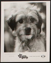 1x805 FOR THE LOVE OF BENJI presskit w/ 12 stills '77 Joe Camp comedy, Burianek art of loveable dog!