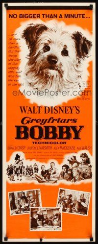 1z339 GREYFRIARS BOBBY insert '61 Walt Disney, huge close up art of cute Skye Terrier!