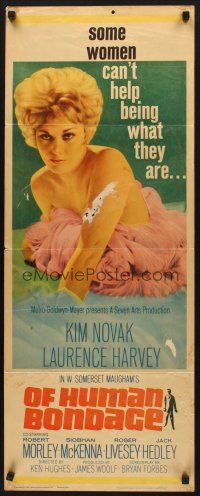 1z547 OF HUMAN BONDAGE insert '64 super sexy Kim Novak can't help being what she is!