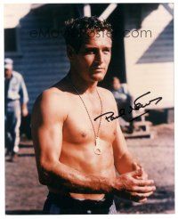 2a922 PAUL NEWMAN signed color 8x10 REPRO still '90s barechested close up from Cool Hand Luke!