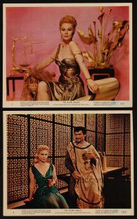 2e245 SILVER CHALICE 2 color 8x10 stills '55 Virginia Mayo alone & with Jack Palance!