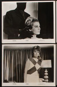 2e486 COBRA 7 8x10 stills '68 Dana Andrews, Peter Martell, super sexy Anita Ekberg!