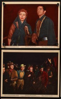 2e125 STRANGE LADY IN TOWN 12 color 8x10 stills '55 Greer Garson, Dana Andrews, Cameron Mitchell
