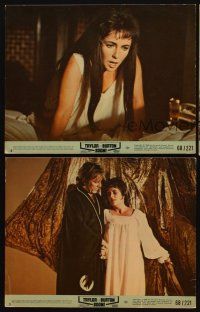 2e231 BOOM 3 8x10 mini LCs '68 Elizabeth Taylor & Richard Burton, Tennessee Williams, Joseph Losey