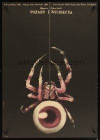 2f108 POZARY A SPALENISTE Polish 27x38 '80 creepy Andrzej Pagowski spider w/eye body art!