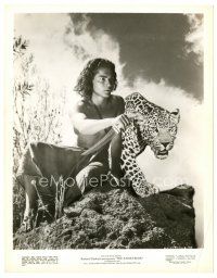 2g480 JUNGLE BOOK candid 8x10 still '42 great publicity shot of Sabu with knife by leopard!