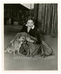 2g509 LONE STAR candid 8x10 still '51 sexy Ava Gardner with her pet Welch Corgi Rags!