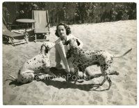 2g565 MERLE OBERON deluxe 7.75x10 news photo '38 the sexy actress on beach with two Dalmatians!