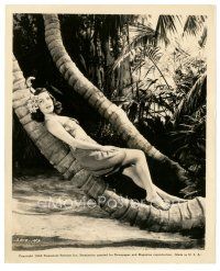 2g646 RAINBOW ISLAND 8x10 still '44 c/u of super sexy Dorothy Lamour wearing sarong on palm tree!