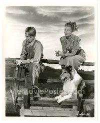 2g751 SUN COMES UP 8x10 still '48 Jeanette MacDonald & Claude Jarman Jr. with Lassie by fence!