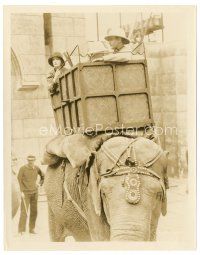 2g840 WILD ORCHIDS 8x10 still '29 Greta Garbo & Prince Nils Asther riding on elephant!