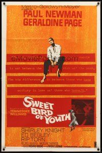 2j843 SWEET BIRD OF YOUTH 1sh '62 Paul Newman, Geraldine Page, from Tennessee Williams' play!