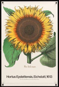 2k351 NEW YORK BOTANICAL GARDEN PRINT SERIES 24x36 art print poster '71 Besler art of sunflower!