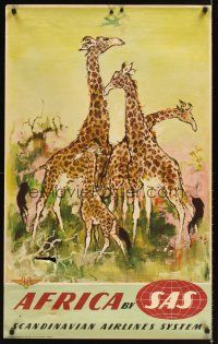 2k389 SCANDINAVIAN AIRLINES SYSTEM AFRICA Danish travel poster '50s Otto art of giraffes!