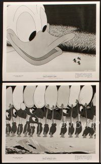 2m643 UNCLE DONALD'S ANTS 4 8x10 stills '52 Disney, great images of Donald Duck trying to kill ants