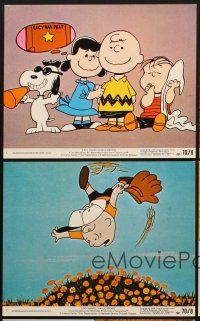 2m601 BOY NAMED CHARLIE BROWN 5 8x10 mini LCs '70 baseball, Snoopy & Peanuts gang by Charles Schulz