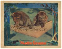 2p705 MATTO GROSSO LC '33 cool image of monkeys in a hammock in the Brazilian jungle!