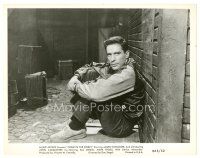 2s214 CRIME IN THE STREETS 8x10 still R65 great c/u of John Cassavetes, directed by Don Siegel!