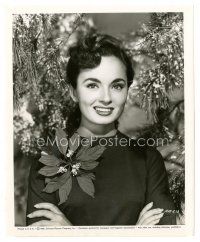 2s494 KATIE DID IT 8x10 still '51 wonderful smiling Christmas portrait of pretty Ann Blyth!