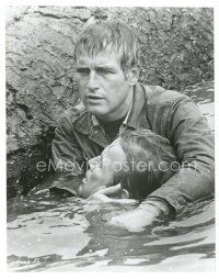 2s812 SOMETIMES A GREAT NOTION 7.5x9.5 still '71 classic image of Paul Newman & drowning Jaeckel!
