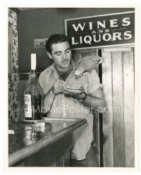 2s829 STEVE COCHRAN 8x10 still '53 showing grocery list to his parrot Clarence at bar!