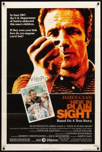 2w487 HIDE IN PLAIN SIGHT 1sh '80 the U.S. Department of Justice abducted James Caan's children!