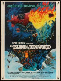 2x437 ISLAND AT THE TOP OF THE WORLD 30x40 '74 Disney's adventure beyond imagination, cool art!