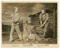 3c811 SHANE 8x10 still R59 close up of Alan Ladd & Van Heflin in classic tree stump scene!