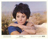 3c489 JUDITH color 8x10 still '66 directed by Daniel Mann close up of beautiful Sophia Loren!