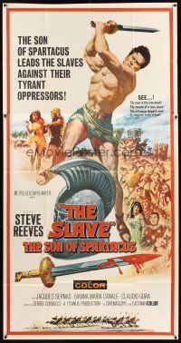 3d650 SLAVE 3sh '63 Il Figlio di Spartacus, art of Steve Reeves as the son of Spartacus!