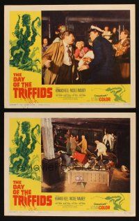 3h888 DAY OF THE TRIFFIDS 2 LCs '62 classic English sci-fi horror, Howard Keel, cool border art!