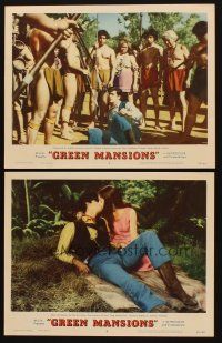 3h915 GREEN MANSIONS 2 LCs '59 Anthony Perkins kissing Audrey Hepburn & caught by hostile natives!
