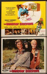 3h025 BAREFOOT EXECUTIVE 9 LCs '71 Disney, Kurt Russell, wacky chimp gone bananas!