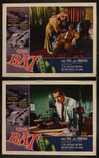 3h066 BAT 8 LCs '59 best image of smoking Vincent Price & giant bat flying overhead!