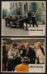 3h081 BLACK BEAUTY 8 LCs '71 Mark Lester, Walter Slezak, Anna Sewell classic horse story!