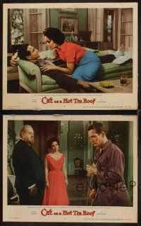 3h740 CAT ON A HOT TIN ROOF 4 LCs '58 Elizabeth Taylor as Maggie the Cat, Paul Newman, Burl Ives