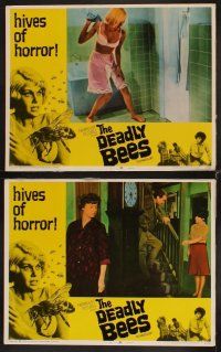 3h142 DEADLY BEES 8 LCs '67 hives of horror, fatal stings, sexy near-naked girl attacked!