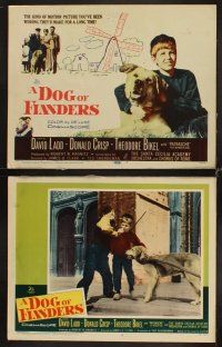 3h161 DOG OF FLANDERS 8 LCs '59 Donald Crisp, David Ladd & his huge beloved dog Patrasche!