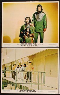3h187 ESCAPE FROM THE PLANET OF THE APES 8 LCs '71 Roddy McDowall, Kim Hunter, great sci-fi images!