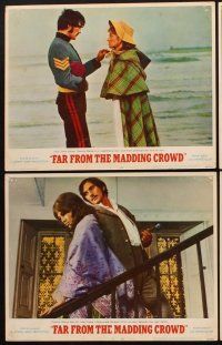 3h197 FAR FROM THE MADDING CROWD 8 LCs '68 Julie Christie falls for dashing Terence Stamp!