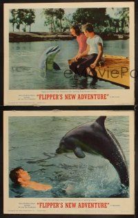 3h813 FLIPPER'S NEW ADVENTURE 3 LCs '64 Luke Halpin, Pamela Franklin, great dolphin images!