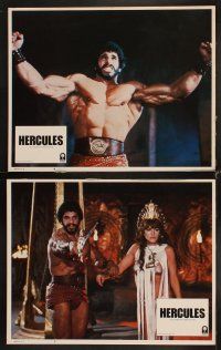 3h257 HERCULES 8 LCs '83 Lou Ferrigno as the strongest man in the world, sexy Sybil Danning!