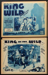 3h306 KING OF THE WILD 8 chapter 8 LCs '31 Walter Miller, Nora Lane, The Jaws of the Jungle!