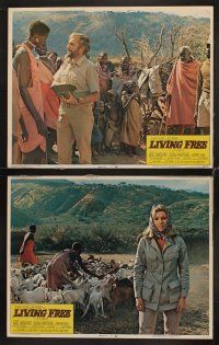 3h326 LIVING FREE 8 LCs '72 written by Joy Adamson, Elsa the Lioness was Born Free!