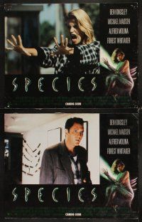 3h478 SPECIES 8 advance LCs '95 sexy alien Natasha Henstridge, Ben Kingsley, sci-fi/horror!